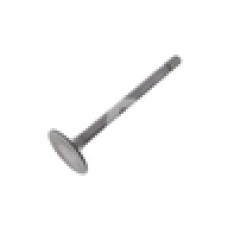 1624113110   Впускной клапан